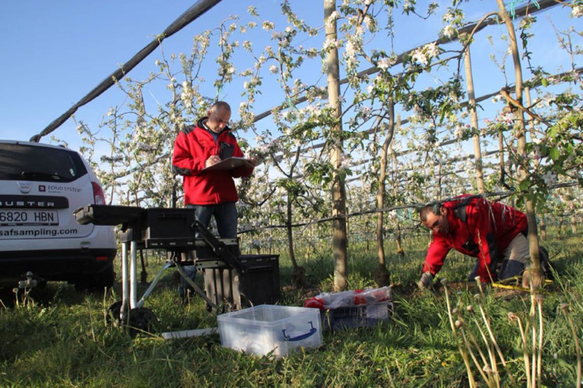Equipo de SAF trabajando en una plantación de frutales en flor